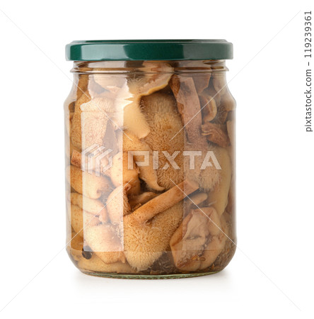 canned porcini mushrooms 119239361