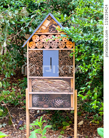 Wooden insect hotel 119239424