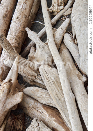 Natural abstract wallpaper, nature pattern. Smooth logs carried by wave to shore of sea or ocean 119239644