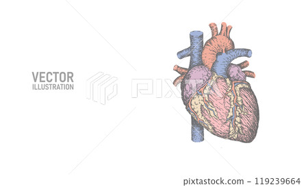 Human healthy heart 3d line art. Ink sketch medicine model. Pulse internal body modern innovative technology vector illustration 119239664