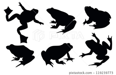 Frog Animal Amphibians in Different Poses. Vector Black Illustration Frog Animal Amphibians in Different Poses. Vector Black Illustration 119239773