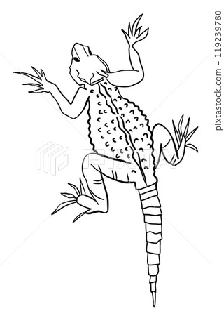Black Contour Lizard, Gecko Clipart. Vector Illustration Isolated on White 119239780