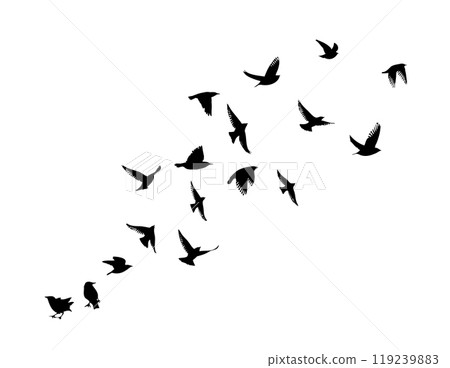 Flying birds silhouette flock. hand drawing. Not AI. Vector illustration Flying birds silhouette flock. hand drawing. Not AI. Vector illustration 119239883