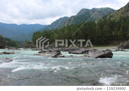 Confluence two rivers, turquoise and blue color into one. View from the river bank Katun. Altay Republic, Siberia Russia Confluence two rivers, turquoise and blue color into one. View from the river bank Katun. Altay Republic, Siberia Russia 119239992