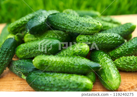 Freshly picked green cucumbers on the board background Freshly picked green cucumbers on the board background 119240275