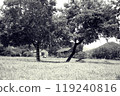 Japanese countryside natural scenery (black and white photography) 119240816