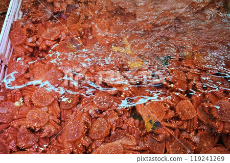 大閘蟹籠 119241269