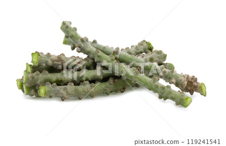 Tinospora cordifolia on white background 119241541