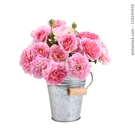 pink roses in a vase on white background pink roses in a vase on white background 119241658
