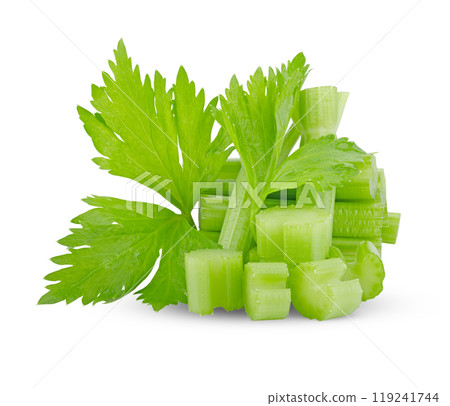 fresh celery stick and leaf isolated on white background fresh celery stick and leaf isolated on white background 119241744