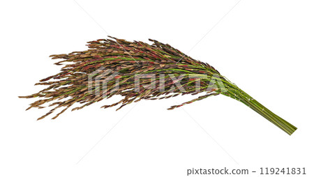 Riceberry rice on white background Riceberry rice on white background 119241831