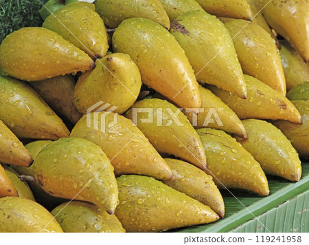 Canistel or Pouteria campechiana fruits  on market 119241958