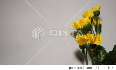 Yellow chrysanthemum flowers for Buddhist ceremonies, Bon Festival, Higan, Buddhist memorial service, margin Yellow chrysanthemum flowers for Buddhist ceremonies, Bon Festival, Higan, Buddhist memorial service, margin 119242107