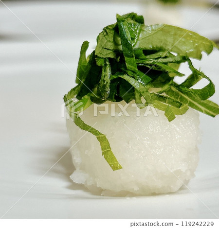 美麗的紫蘇葉磨碎 119242229