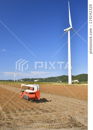 拍攝北海道江差町秋季收穫的大豆 119242326