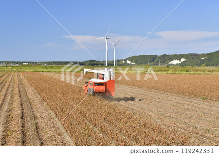 拍攝北海道江差町秋季收穫的大豆 119242331