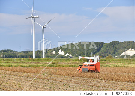 Photographing soybean harvesting in autumn in Esashi Town, Hokkaido 119242338