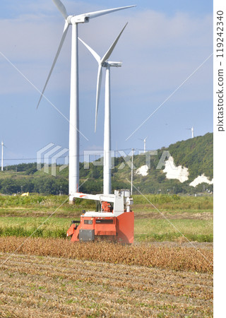 Photographing soybean harvesting in autumn in Esashi Town, Hokkaido 119242340