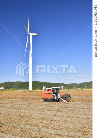 Photographing soybean harvesting in autumn in Esashi Town, Hokkaido Photographing soybean harvesting in autumn in Esashi Town, Hokkaido 119242348