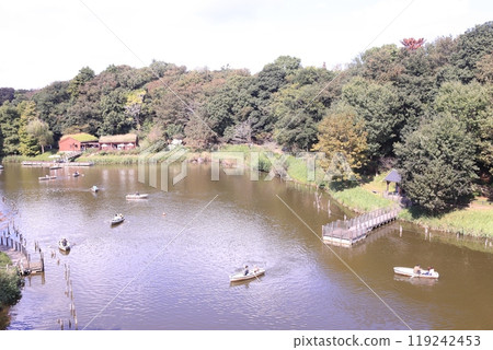 Sunday, Funabashi Andersen Park 119242453