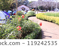 Sunday, Funabashi Andersen Park Sunday, Funabashi Andersen Park 119242535