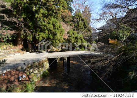 Autumn leaves at Hiyoshi Taisha Shrine (Otsu City, Shiga Prefecture) 119243138