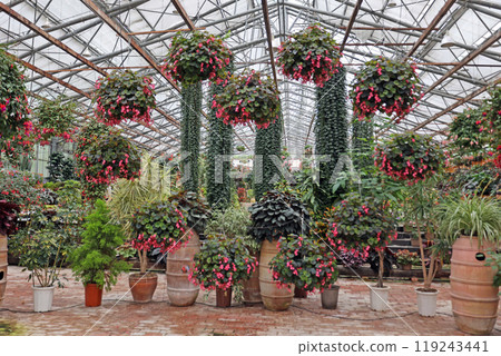 Matsue Vogel Park 119243441