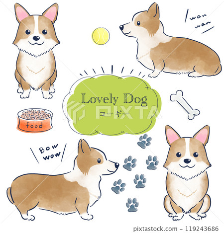 Corgi watercolor style hand drawn illustration set 119243686