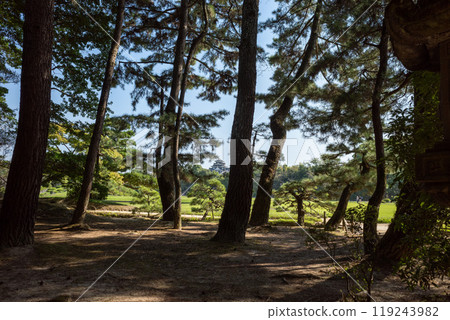 岡山後樂園 119243982