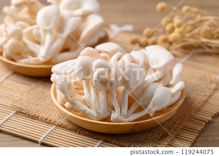 White Oyster Mushroom, Edible mushroom, Organic food ingredient 119244075