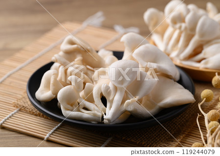 White Oyster Mushroom, Edible mushroom, Organic food ingredient 119244079