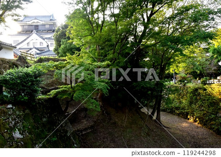 Okazaki Castle tower and dry moat (Seikabori) in Okazaki Park, Aichi Prefecture Okazaki Castle tower and dry moat (Seikabori) in Okazaki Park, Aichi Prefecture 119244298
