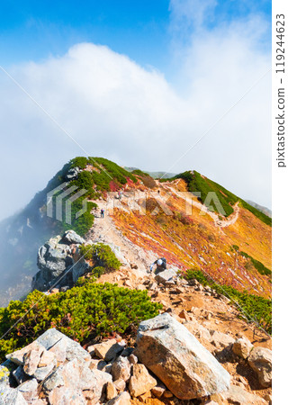 Autumn climbing of Mt. Karamatsu (Maruyama to the summit) 119244623