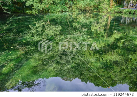 Izuruhara Benten Pond, Sano City, Tochigi Prefecture 119244678