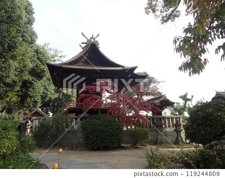 Achi Shrine is the main shrine of Kurashiki and is located on the summit of Mount Tsurugata in the north of the Kurashiki Bikan Historical Quarter. It has many stone formations called Iwasaka and Iwakura. 119244809