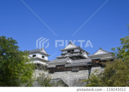 Matsuyama Castle (12 surviving castle towers) Matsuyama Castle (12 surviving castle towers) 119245012