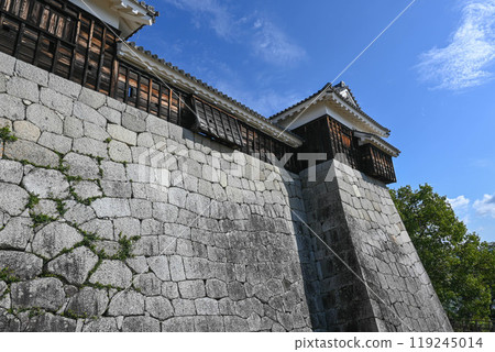 Magnificent stone walls: Matsuyama Castle 119245014