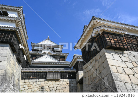 Matsuyama Castle: 12 remaining castle towers 119245016