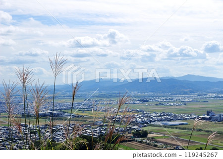 The view of Omihachiman city through the silver grass at the ruins of Omihachimanyama Castle 119245267