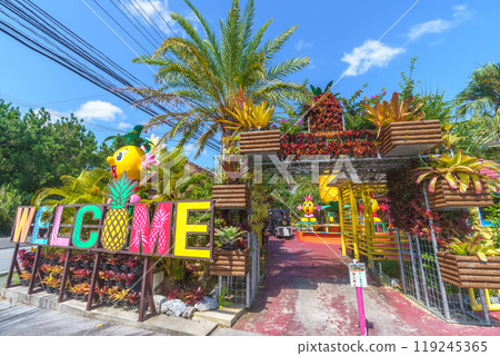 名護菠蘿園 119245365