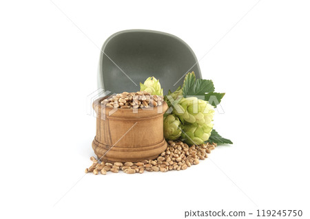 Fresh green hops and grains in rustic display isolated on white background Fresh green hops and grains in rustic display isolated on white background 119245750