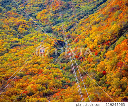 從黑部平、立山眺望大觀峰/五彩繽紛的秋葉和立山索道/中部山岳國立公園 119245963
