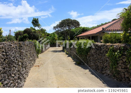 Taketomi Island: Streetscape lined with stone walls Taketomi Island: Streetscape lined with stone walls 119245981