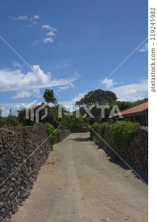 有石牆的竹富島城鎮景觀 有石牆的竹富島城鎮景觀 119245982
