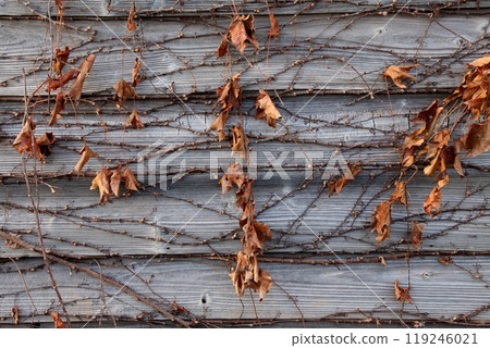 The withered wooden walls of a warehouse seen in Kurushima Strait The withered wooden walls of a warehouse seen in Kurushima Strait 119246021