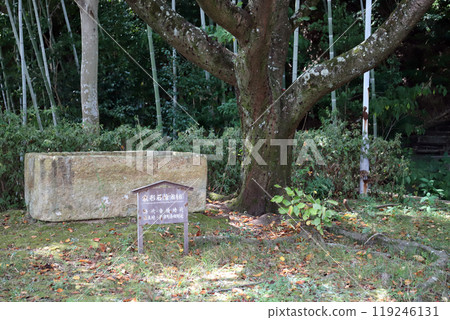 House-shaped stone coffin (building stand) excavated from the Koshinzuka Tomb (Nishi Ward, Kobe City, Hyogo Prefecture) 119246131