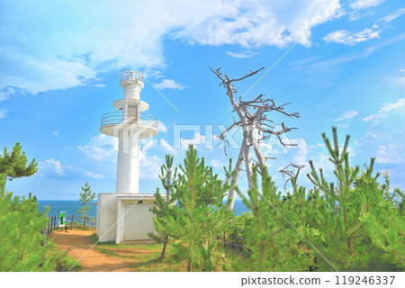 Tohoku, Kesennuma Oshima, Ryumaizaki, the tip of the land, Rikuzen Oshima Lighthouse (7) 119246337
