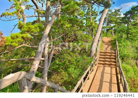 Tohoku, Kesennuma Oshima, Ryumaizaki, A promenade leading from the parking lot to the Rikuzen Oshima Lighthouse where you can enjoy nature, Kesennuma City, Miyagi Prefecture (4) 119246441