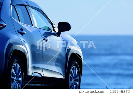 Early morning drive to the sea 119246873