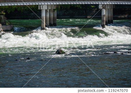Torrential rains at the discharge point of the Kansai Electric Power Company's Uji Power Station, Uji City, Kyoto Prefecture Torrential rains at the discharge point of the Kansai Electric Power Company's Uji Power Station, Uji City, Kyoto Prefecture 119247070